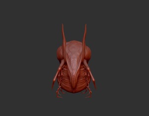 insect render 3
